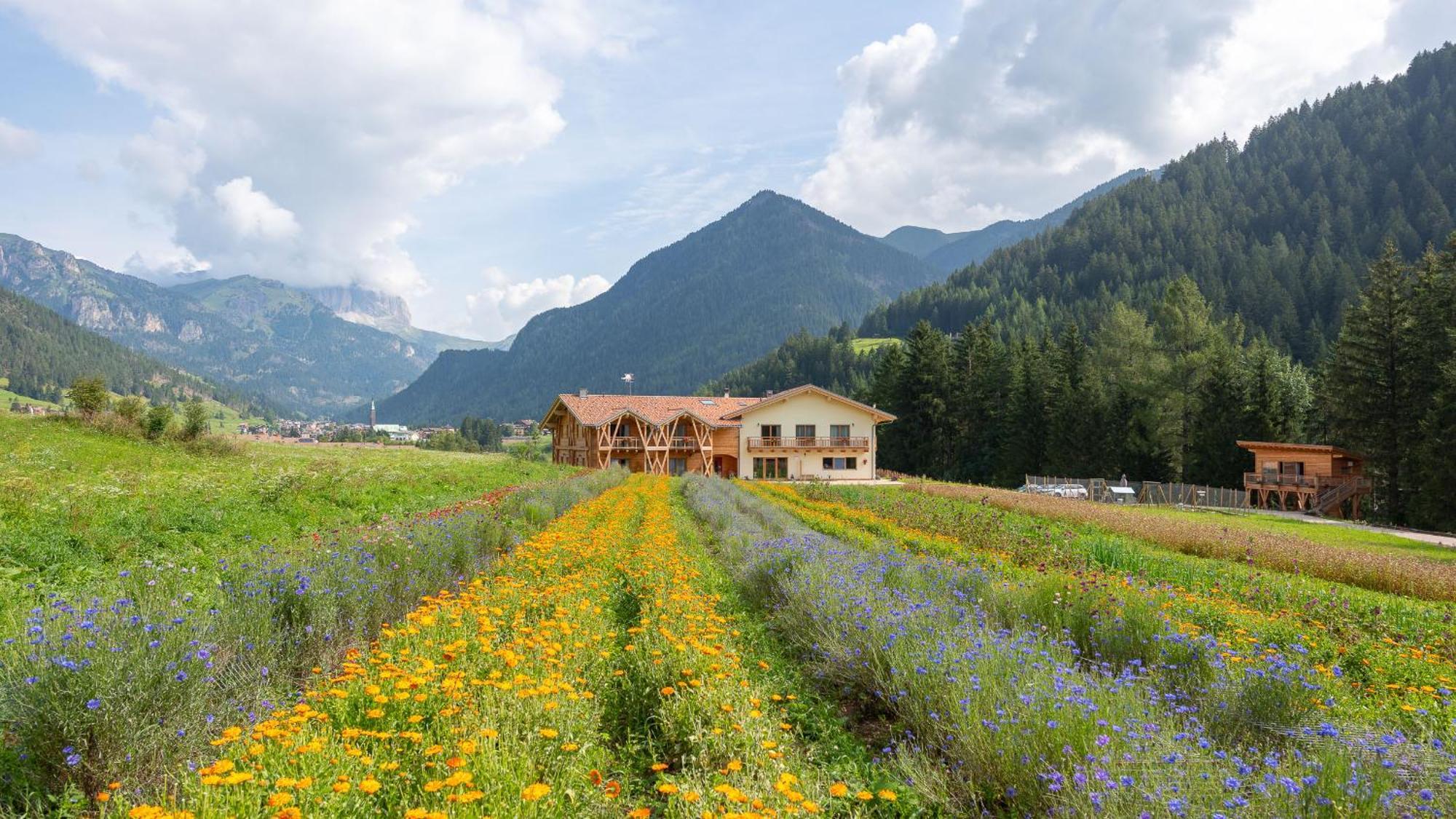 Eco-Green Fiores Agriturismo 비고디파사 외부 사진